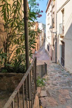 Tossa de Mar, İspanya, Ağustos 2018. Dar bir sokakta büyüleyici yeşil çimenler.