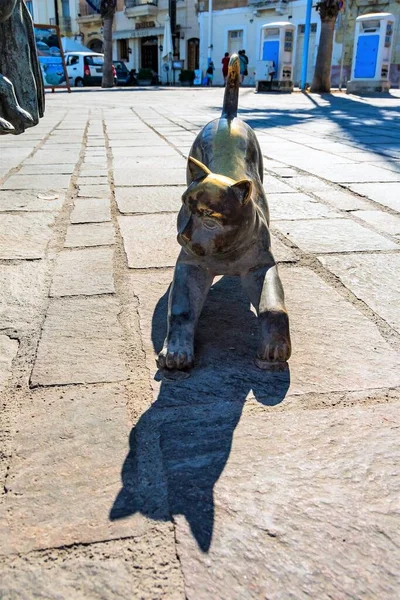 2019年8月 马耳他 马尔萨克洛克 古城堤岸上一只华丽的青铜猫 — 图库照片