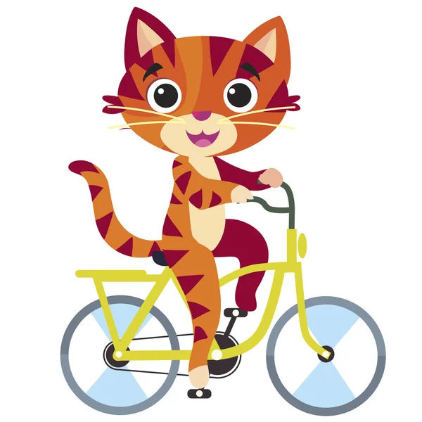 Ginger Cat Riding Bicycle Going Picnic — 스톡 벡터