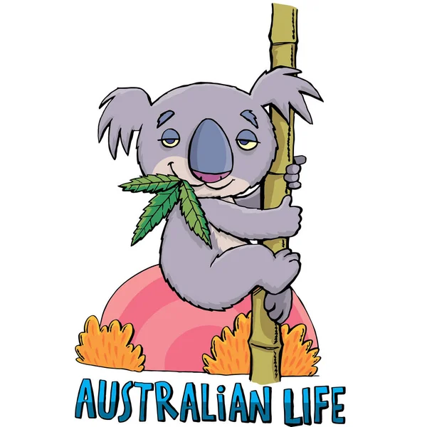 コアラオーストラリアの生活と日没 — ストックベクタ