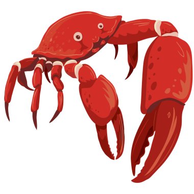 Kocaman maşalı renkli kırmızı yengeç.