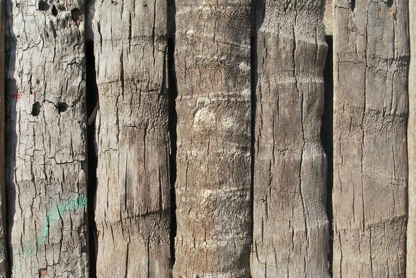 Grobe Kokosnussholz Muster Background Background Für Die Herstellung Von Bannern — Stockfoto