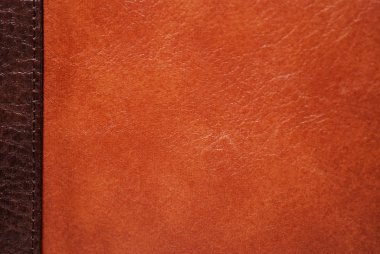 Esmer tenli. Deri çantanın derisinden alınmış..