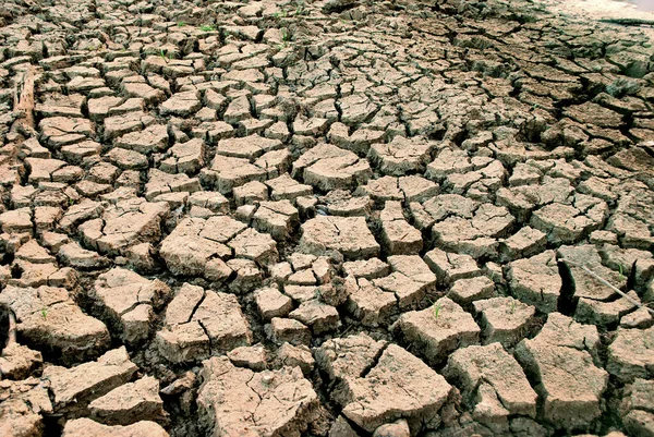 Global warming, dry soil has caused drought.