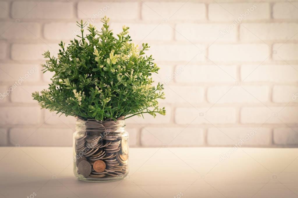 Arificial plants in money jar