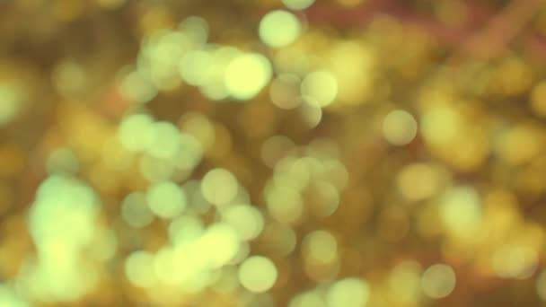 Bokeh sfondo della natura in stile vintage . — Video Stock