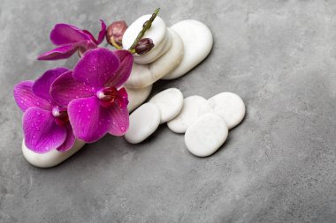 spa sistemi için doğal ürün