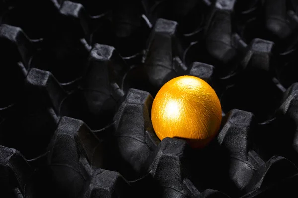 Oeuf Doré Sur Fond Noir Spécial Non Remplaçable — Photo