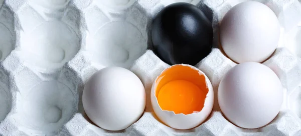 鶏の卵1個と卵1個の段ボールトレイ — ストック写真