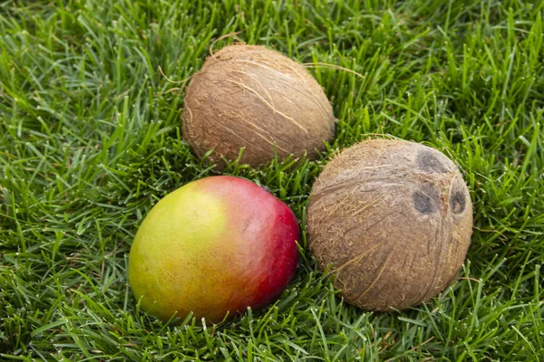 The photo of a whole coconuts and a mango on the green grass. Vegetarian and healthy food. Nutrition and diet background. Cosmetic industry.