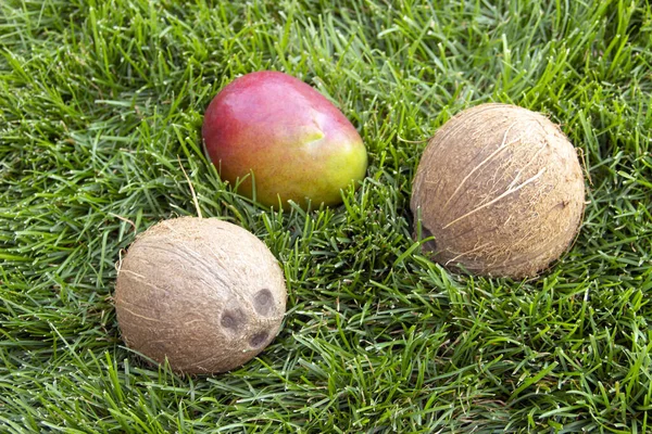 The photo of a whole coconuts and a mango on the green grass. Vegetarian and healthy food. Nutrition and diet background. Cosmetic industry.