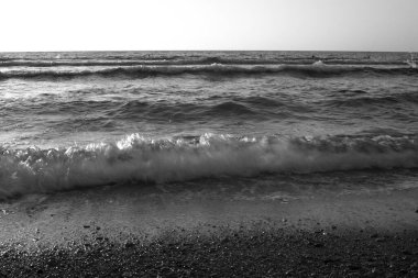 Sıcak kumun siyah beyaz arka planında deniz ya da okyanus kabarcıkları var. Fotokopi alanı ile şafak ya da gün batımında kart ya da reklam için. 