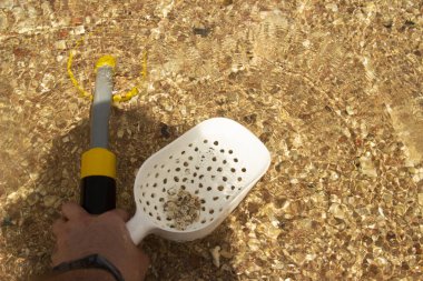 Su altı metal dedektörünün yardımıyla toplanan altın ve gümüş paraların fotoğrafı. Hazine arayışı ve turist macera geçmişi.