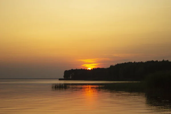 Den Horisontella Bilden Gyllene Solnedgång Ovanför Floden Eller Havet Reflektion — Stockfoto