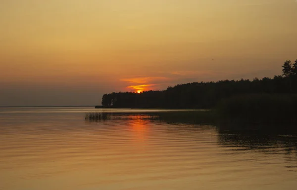 Horizontale Foto Van Gouden Zonsondergang Boven Rivier Zee Reflectie Het — Stockfoto