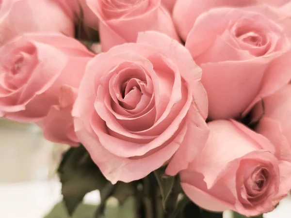 Die Rosa Rosen Hintergrund Für Valentinstag Oder Muttertag Oder Frau — Stockfoto