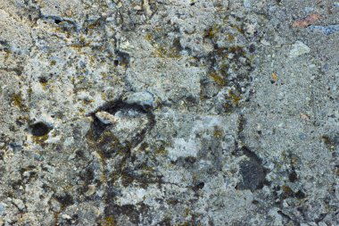 Gri kaya yüzeyi. Kabataslak özgeçmiş