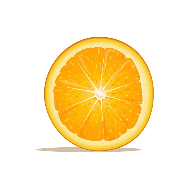 Vektorillustration Skivad Orange Saftig Illustration Frukt Isolerad Från Bakgrunden Lämplig — Stock vektor
