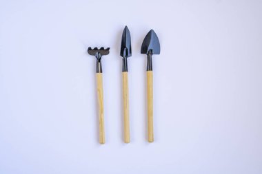 Bahçe aletleri, üst manzara, bahçe manteinansı. Toprak Ana Günü. Bahçe araçlarının bileşimi. 