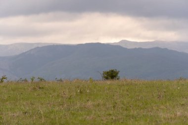 Dağ vadisinin tepesinde. Yağmurdan önceki dağlar, bulutlarla kaplı gri gökyüzü. Dağ manzarası.