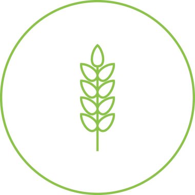 Güzel Buğday Çizgisi Vektör Simgesi