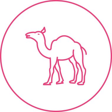 Güzel Deve Hattı Vektör Simgesi