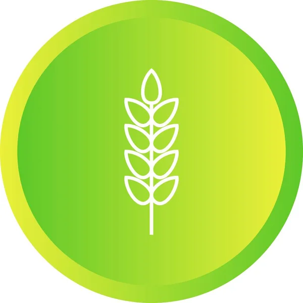 Beautiful Wheat Line Vector Icon — Stock Vector