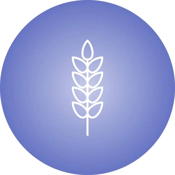 Hermosa línea de trigo Vector icono — Vector de stock