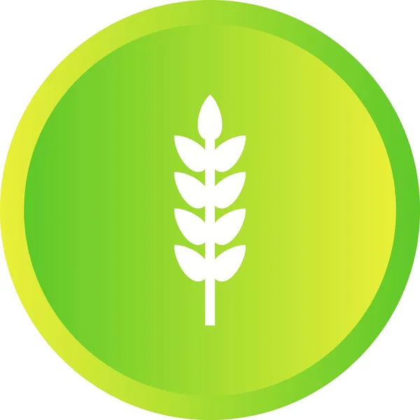 Schöne Weizen-Glyphen-Vektorsymbol — Stockvektor