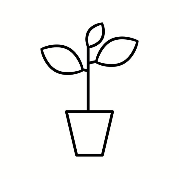 Icono de línea vectorial de planta única — Archivo Imágenes Vectoriales
