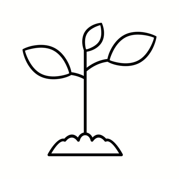 Eşsiz Bitki Vektör Satırı Simgesi — Stok Vektör