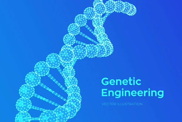 Sequência de ADN. Wireframe DNA moléculas estrutura malha. Modelo editável de código de DNA. Conceito de Ciência e Tecnologia. Ilustração vetorial . — Vetor de Stock