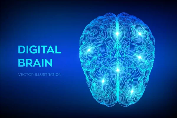 Cerebro. Cerebro digital. Concepto de Ciencia y Tecnología 3D. Red neuronal. Pruebas de inteligencia artificial, tecnología de la ciencia de la emulación virtual. Una lluvia de ideas. Ilustración vectorial . — Vector de stock