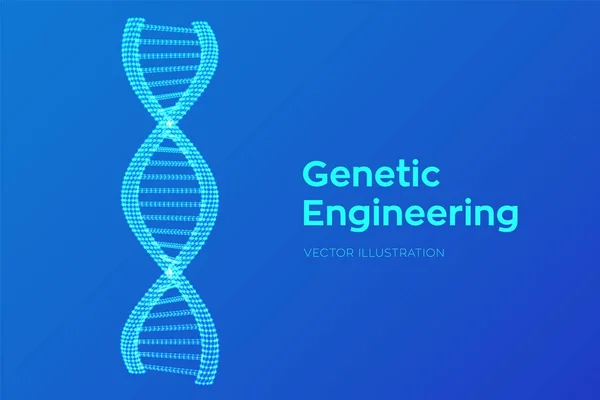 DNA sequence in hands. Wireframe DNA molecules structure mesh. DNA code editable template. Science and Technology concept. Vector illustration. — Stock Vector