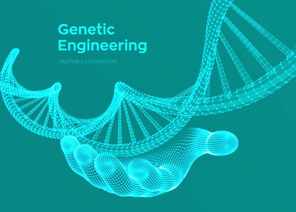 DNA sequence in hand. Wireframe DNA molecules structure mesh. DNA code editable template. Science and Technology concept. Vector illustration.