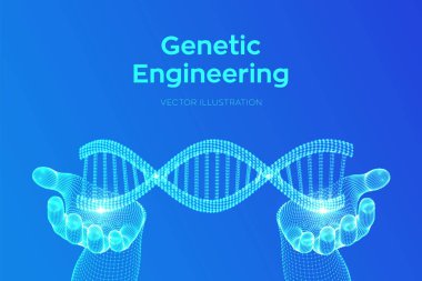 Elinde DNA dizisi var. Tel kafes DNA molekülleri yapı mesh. DNA kodu düzenlenebilir şablonu. Bilim ve teknoloji konsepti. Vektör Illustration.