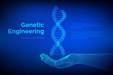 Dna dizisi elde. Tel kafes DNA molekülleri mesh yapı. DNA kodu editable şablon. Bilim ve Teknoloji kavramı. Vektör çizimi