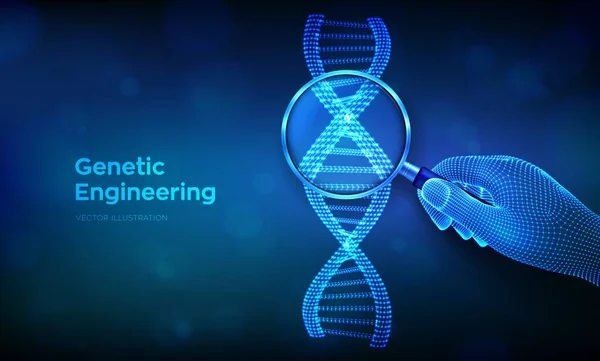 Genetik mühendisliği kavramı, elinde büyüteç ve DNA dizilimiyle. Tel çerçeveli DNA molekülleri yapı örgüsü. DNA kodu düzenlenebilir şablon. Bilim ve biyoteknoloji kavramı. Vektör illüstrasyonu.