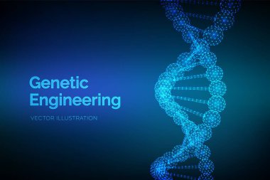 DNA dizisi. Tel kafes DNA molekülleri yapı mesh. DNA kodu düzenlenebilir şablonu. Bilim ve teknoloji konsepti. Vektör Illustration