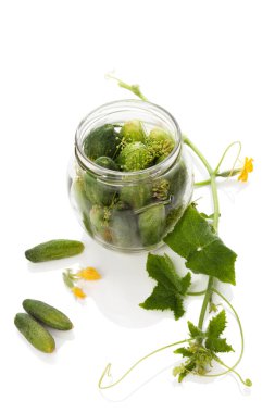 Salatalığın üzerinde beyaz. Turşu.