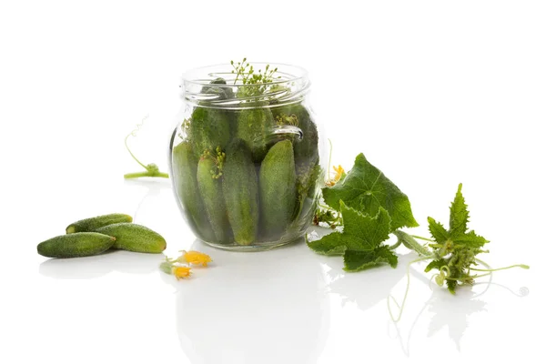 Pickles isolerad på vit. — Stockfoto