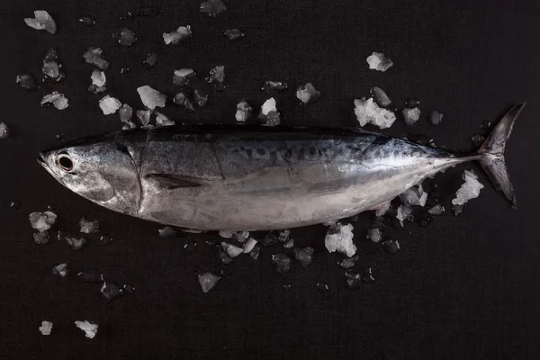 Tuna fish background. — Stock Photo, Image