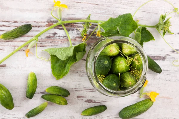 Cucumbers in glass. Pickles. — Stock Photo, Image