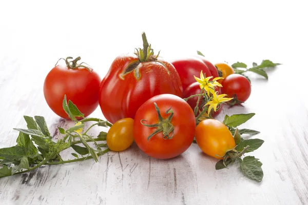 Tomaten op houten ondergrond — Stockfoto