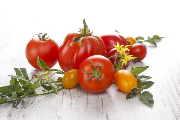 Tomates em fundo de madeira — Fotografia de Stock