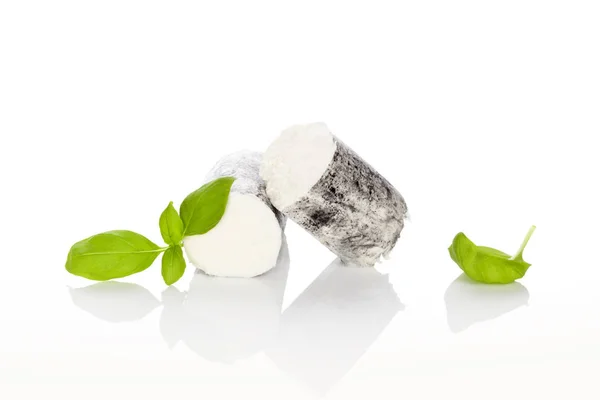 Goat cheese with basil. — Stock Photo, Image