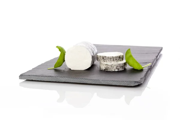 Goat cheese on minimalistic plate — Stock Photo, Image