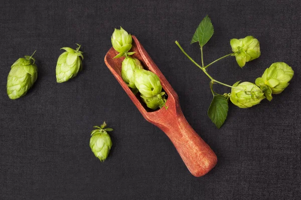 Hop frutta in cucchiaio su sfondo scuro . — Foto Stock