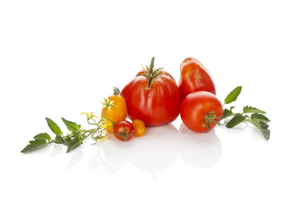 흰 배경의 토마토. — 스톡 사진