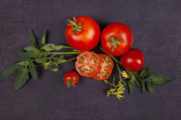 Tomates em fundo preto de cima — Fotografia de Stock